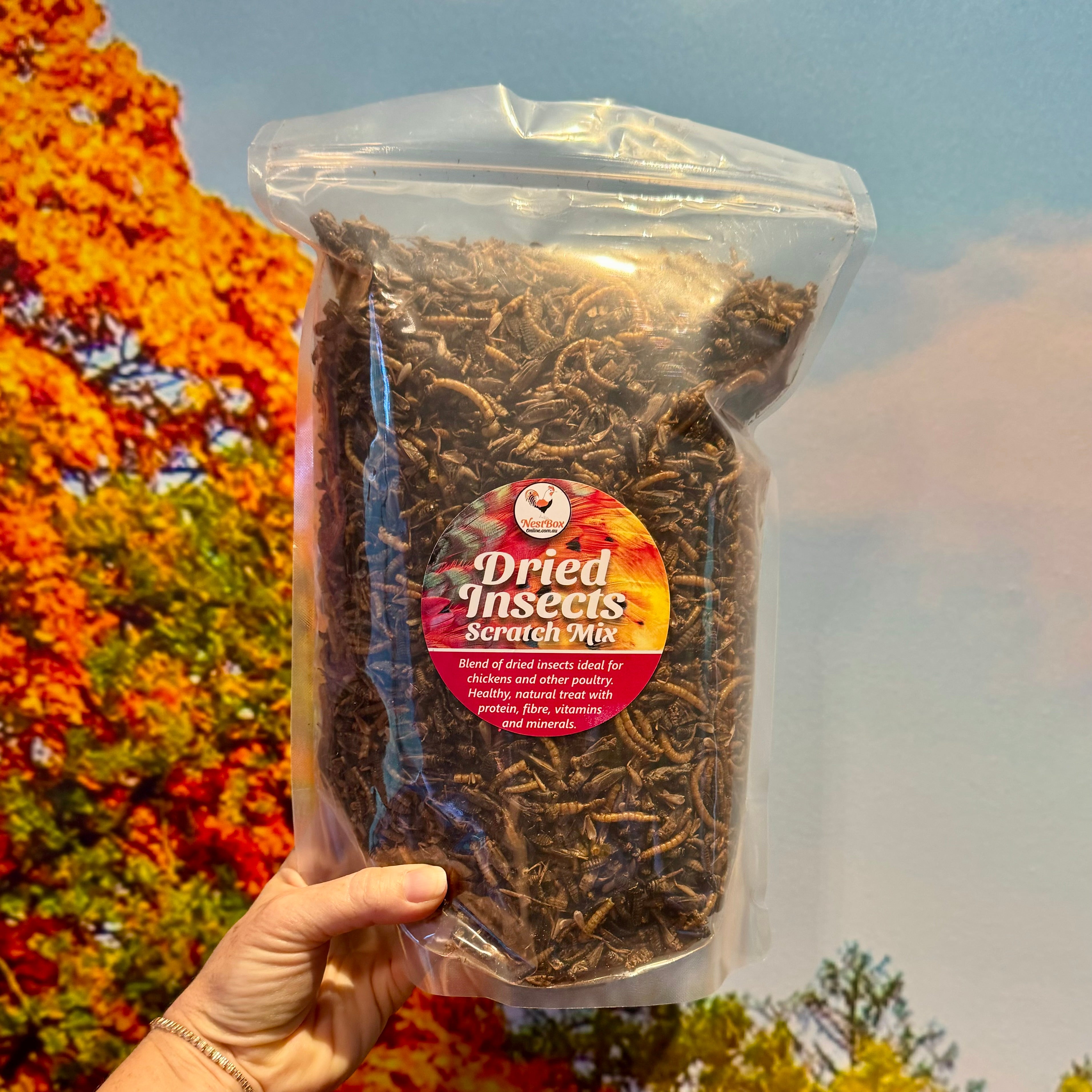 Dried insects scratch mix