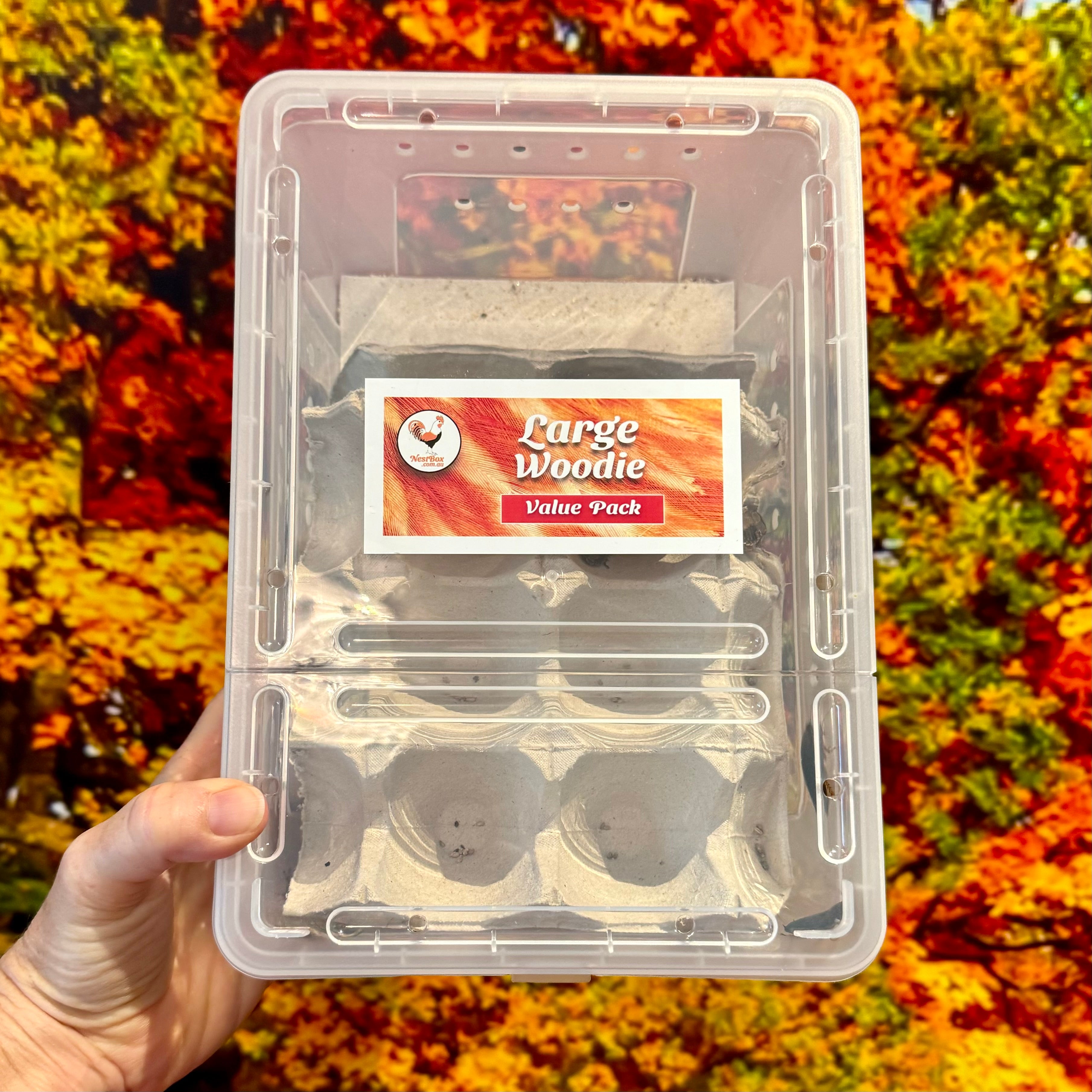 Large Woodies Value Pack