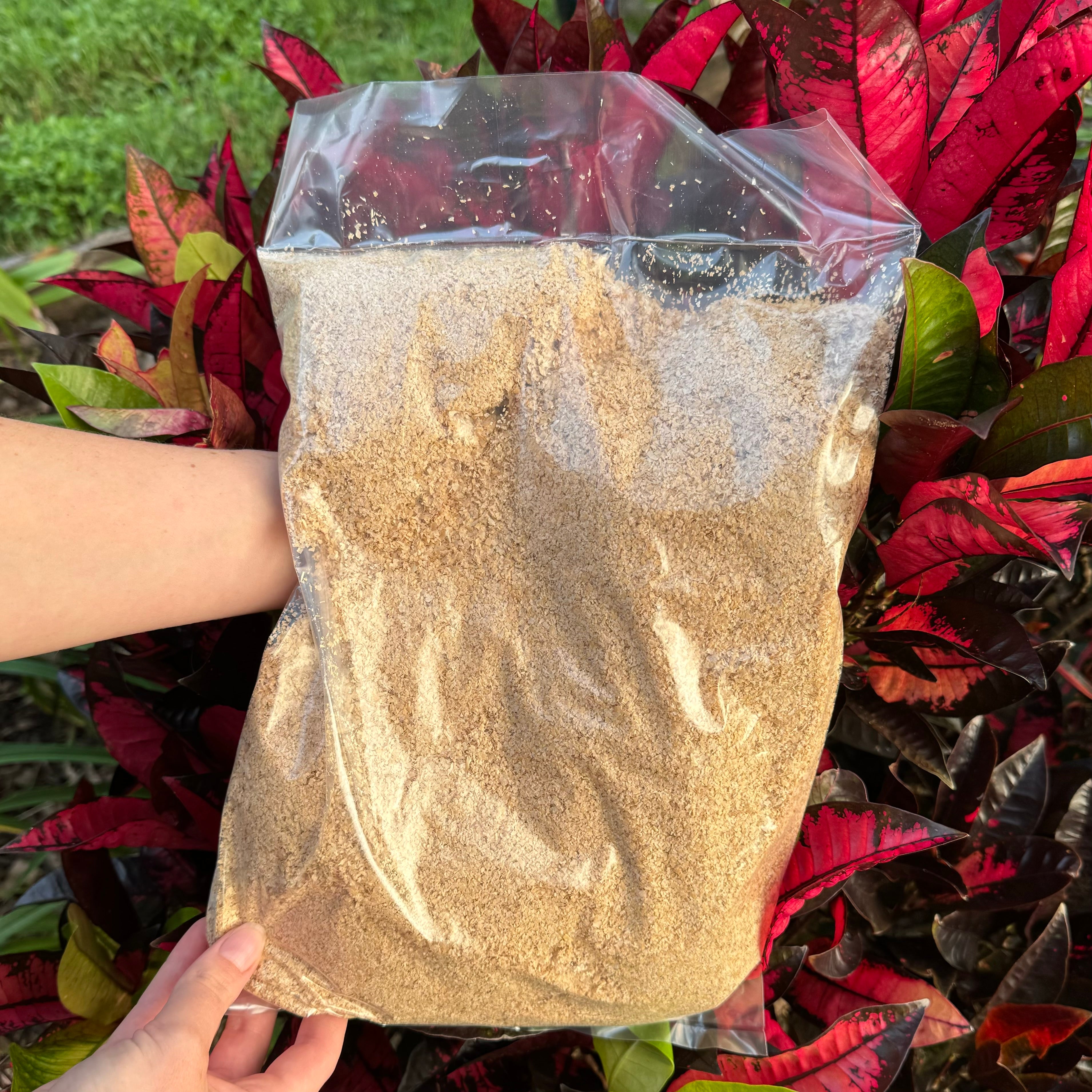 Wheat Bran for Mealworms