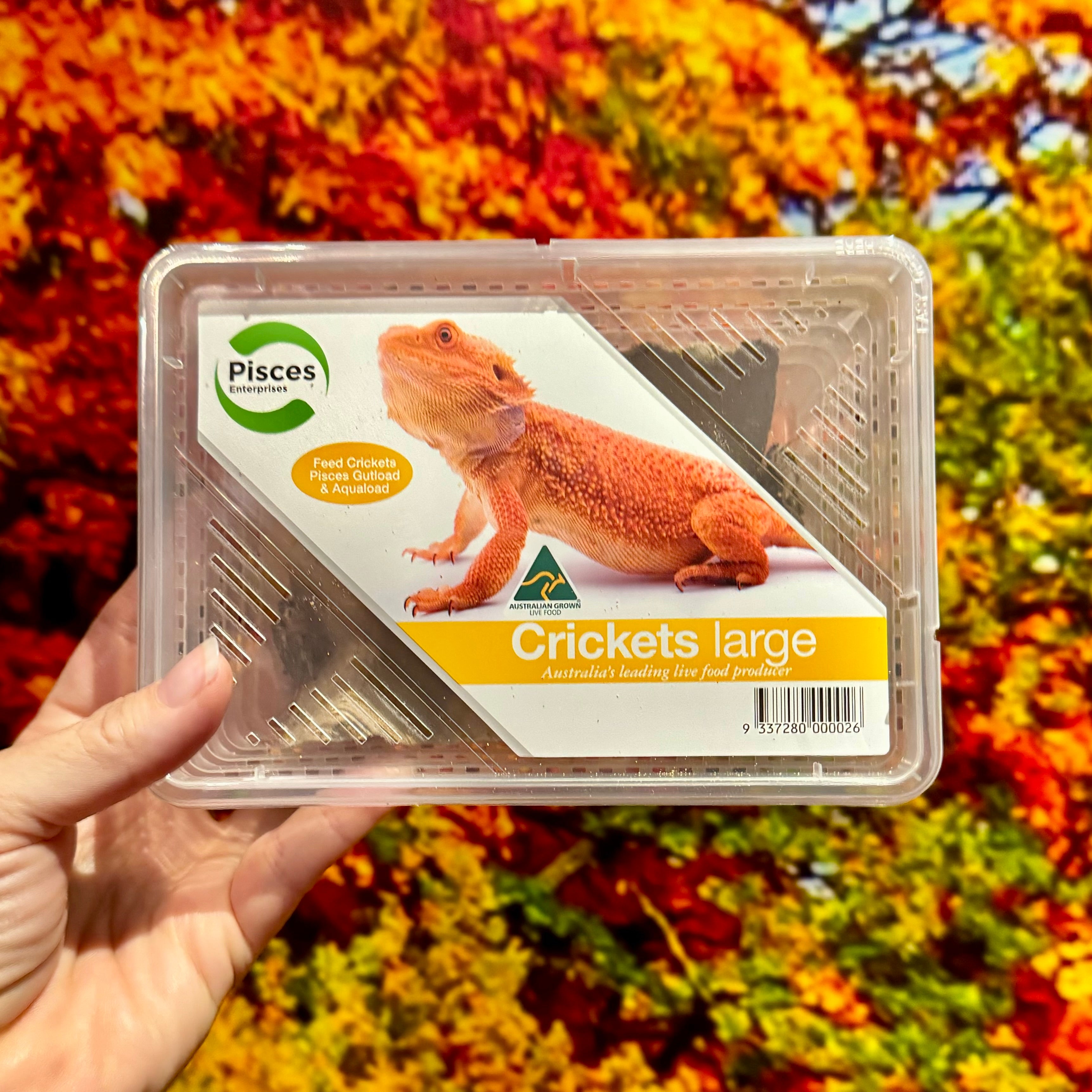 Large Cricket Tub for sale