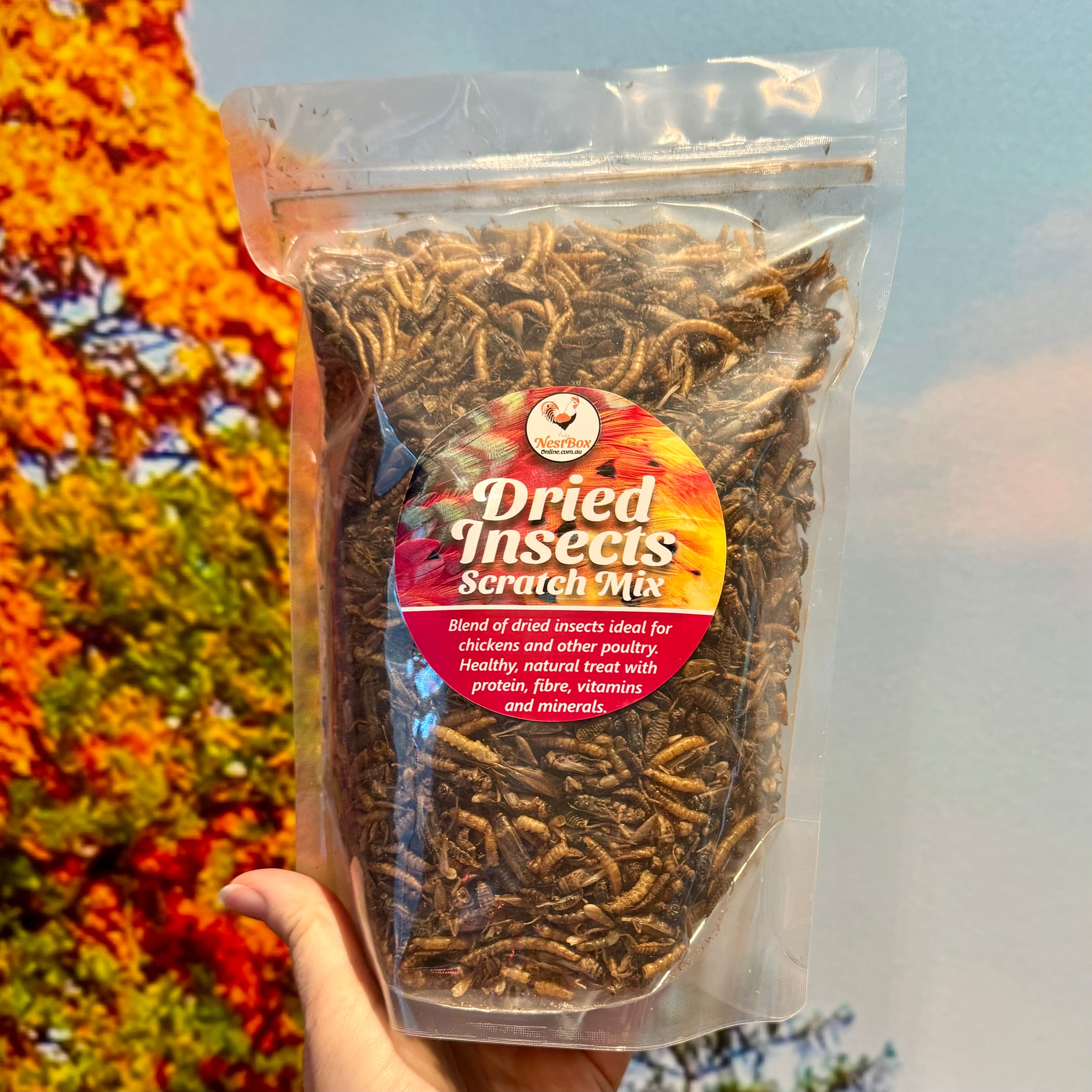 Dried Insects - Scratch Mix