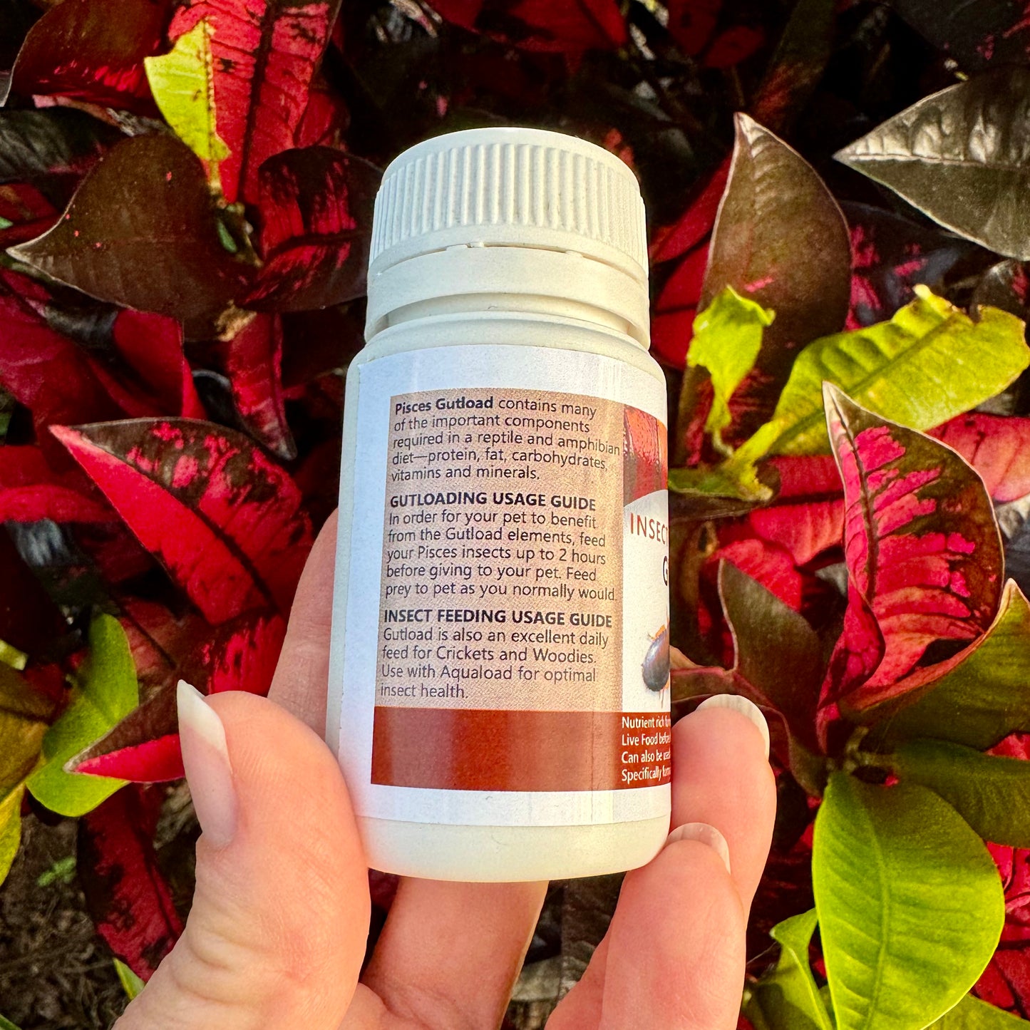 Pisces Gutload Insect Enhancement 40g