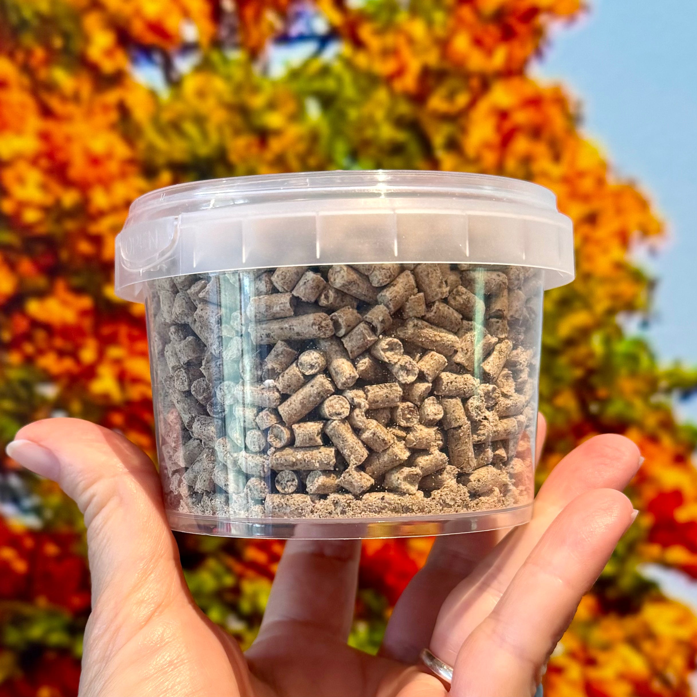 Woodie & Cricket Food