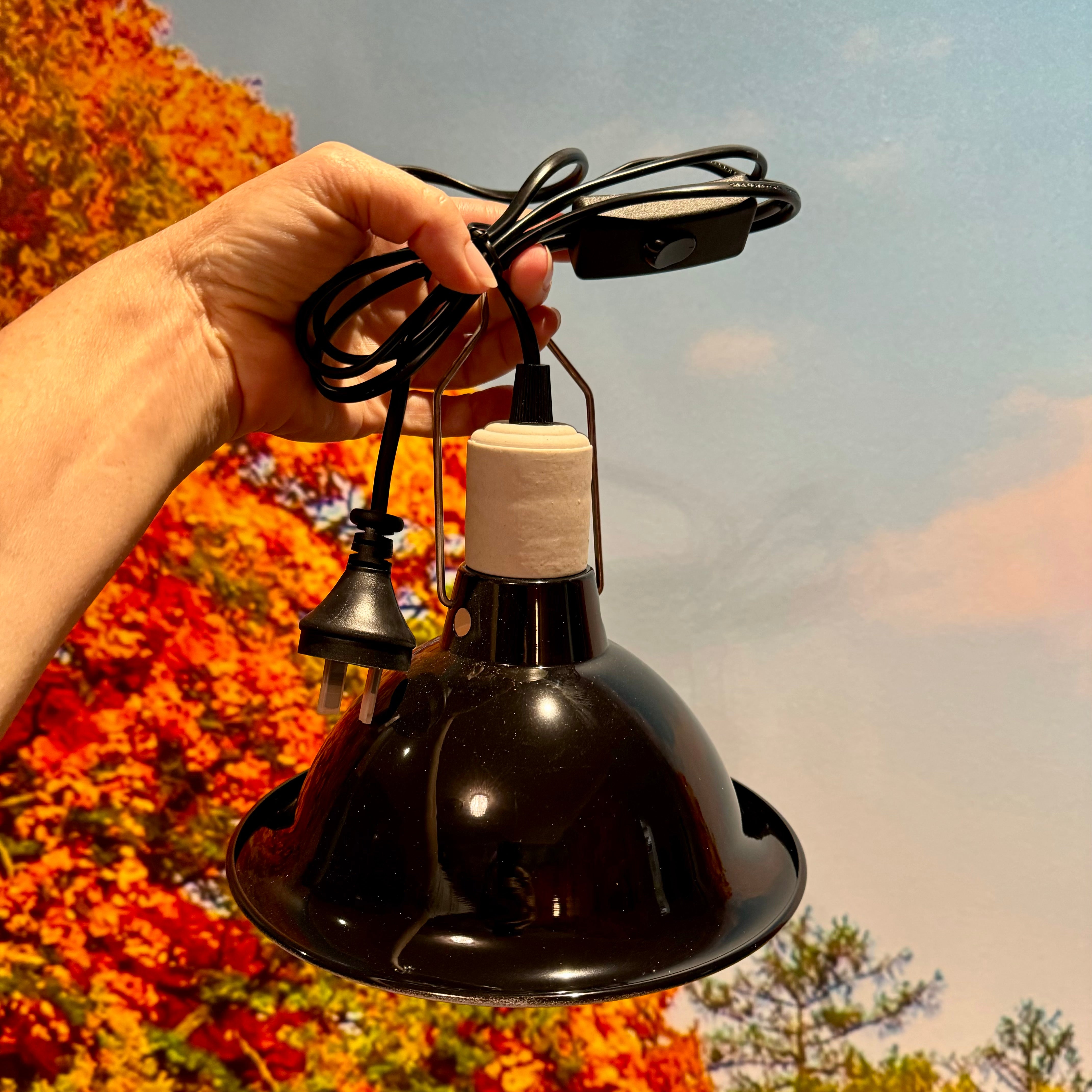 Dome Clamp Lamp Fixture 150W Light Fitting