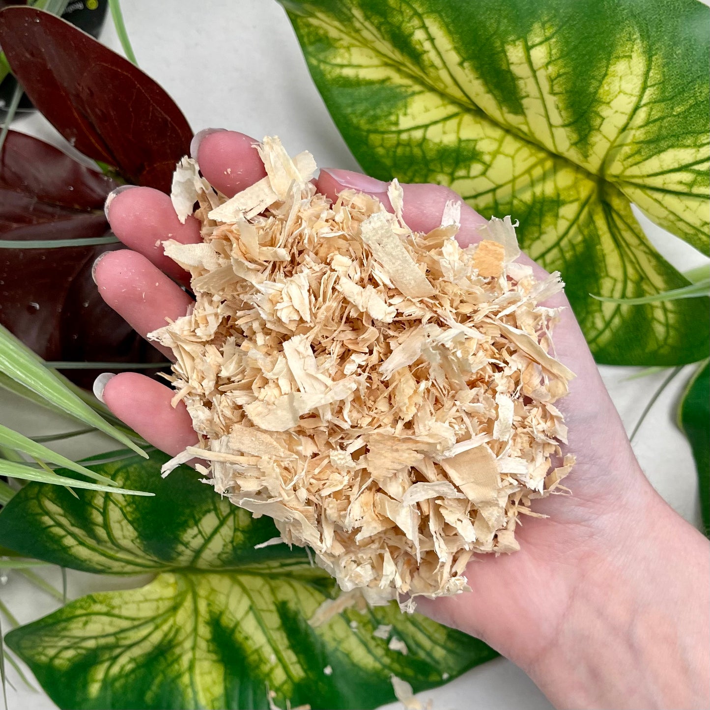 Aspen Nesting Material