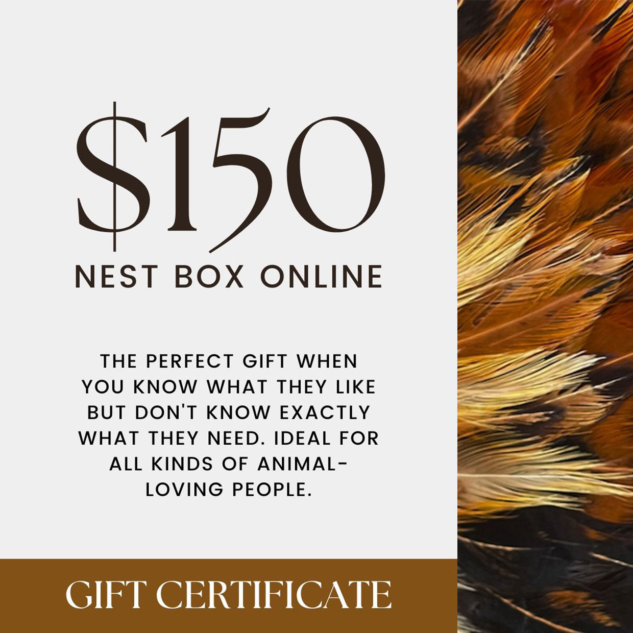 Nest Box Online Gift Card