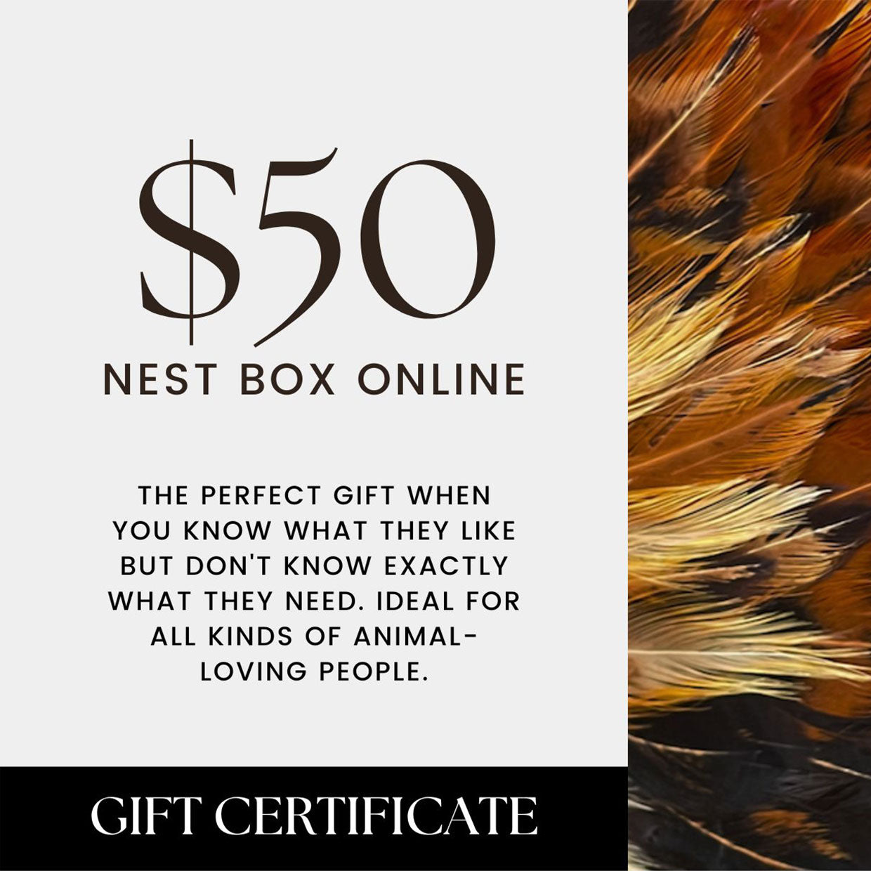 Nest Box Online Gift Card