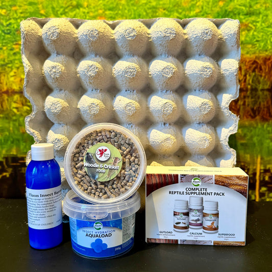 How to care for Bulk Crickets?