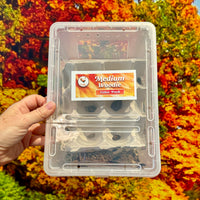 Medium Woodies Value Pack