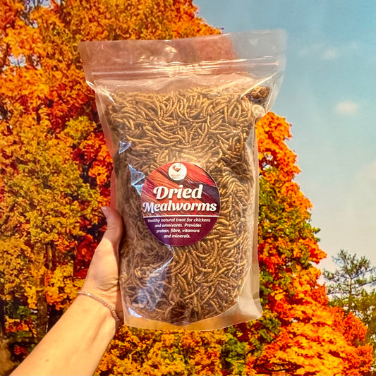 Dried meal worms for pets