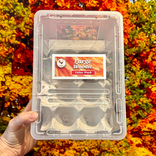 Large Woodies Value Pack