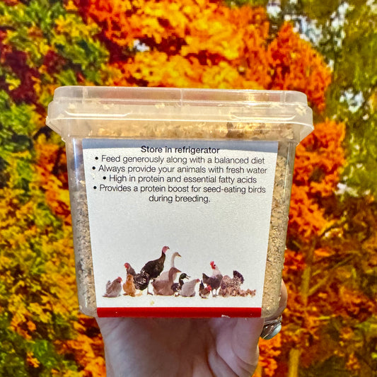 Livefood feeder insect tub