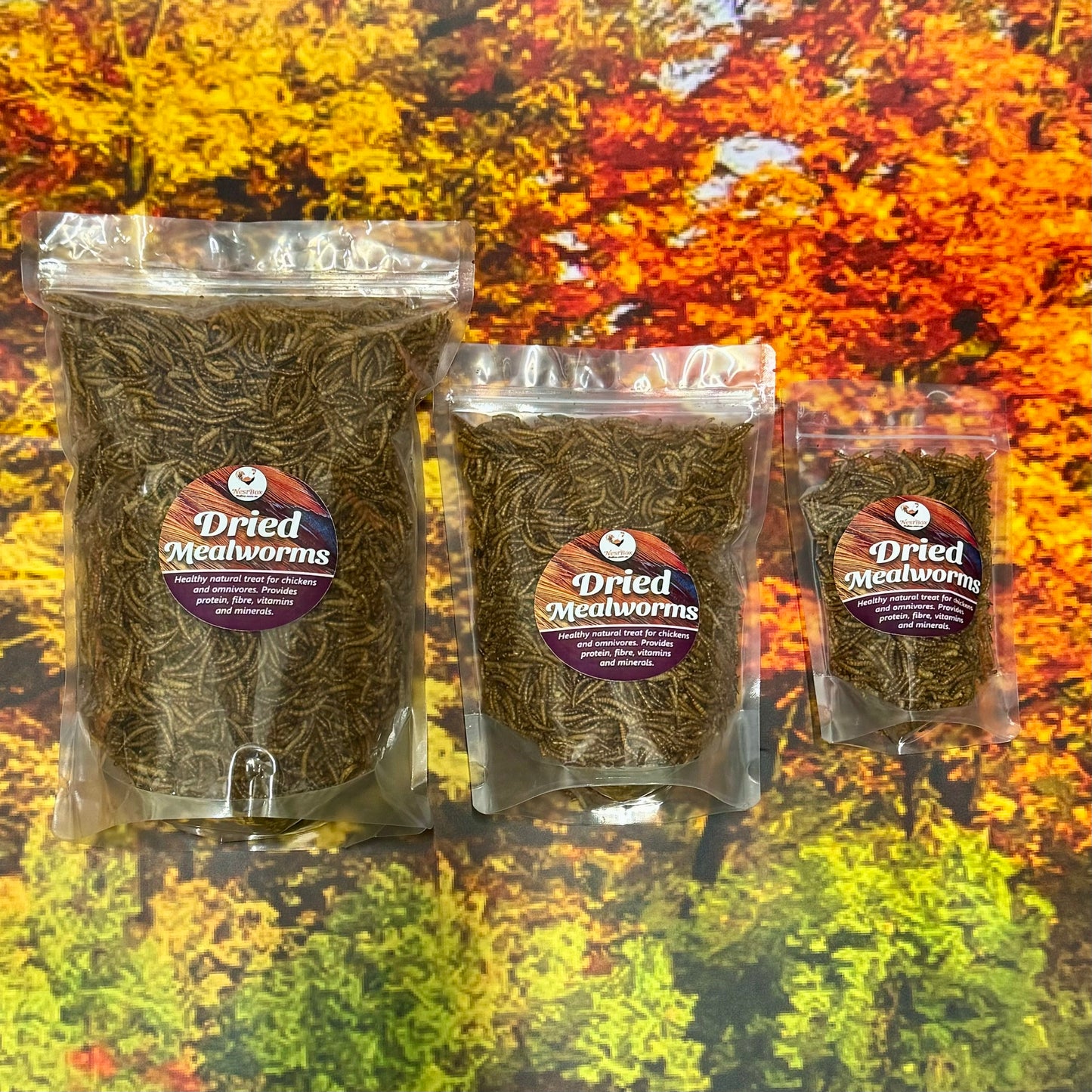 Dried mealworms, small, large and jumbo packets