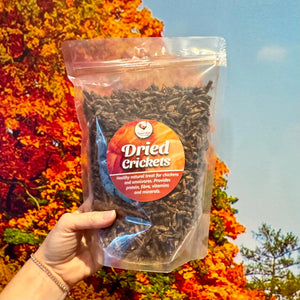 Dried Crickets