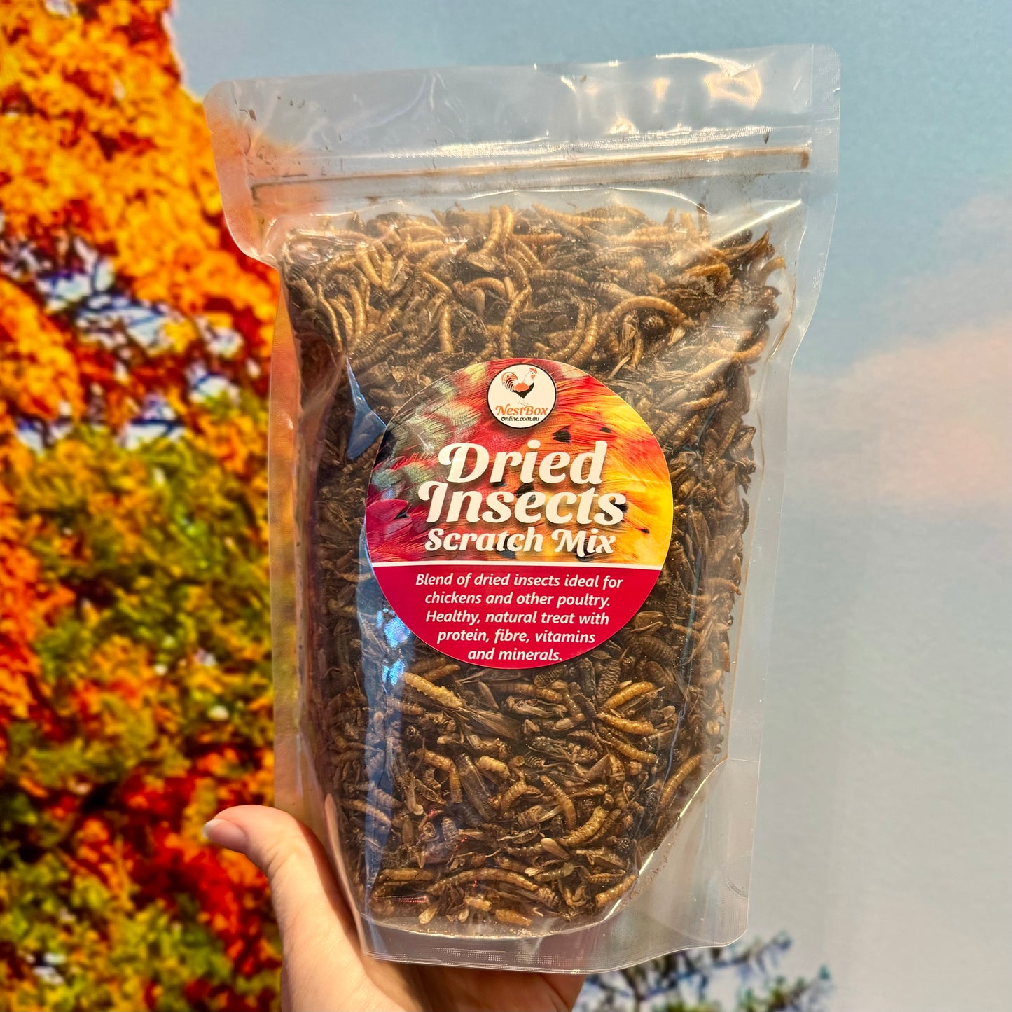 Dried Insects - Scratch Mix