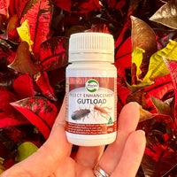 Pisces Gutload Insect Enhancement 40g for sale