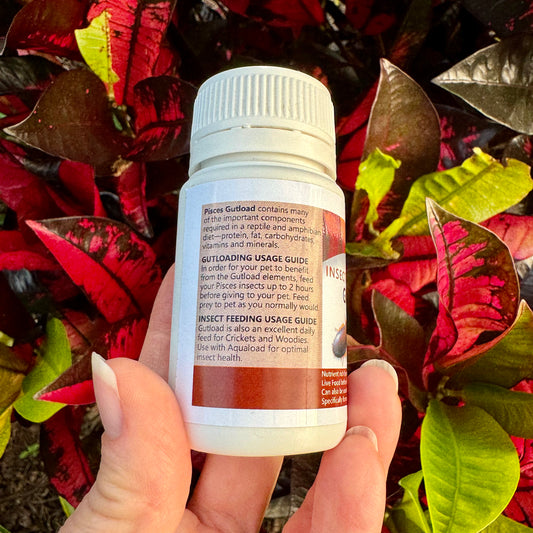 Pisces Gutload Insect Enhancement 40g