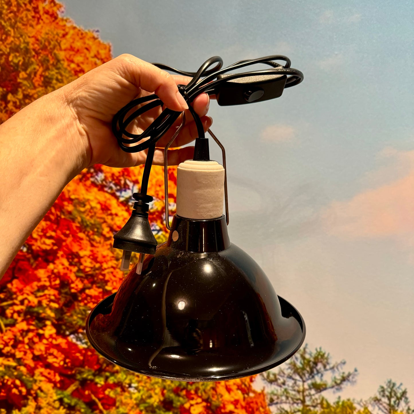 Dome Clamp Lamp Fixture 150W Light Fitting