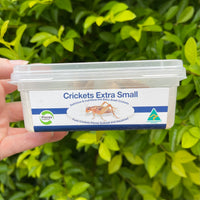 Extra-Small Cricket Tub
