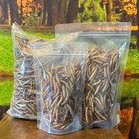 Dried Giant Mealworms - Zophobas morio