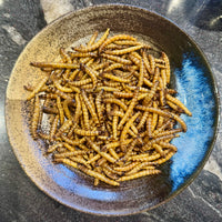 Dried Giant Mealworms - Zophobas morio