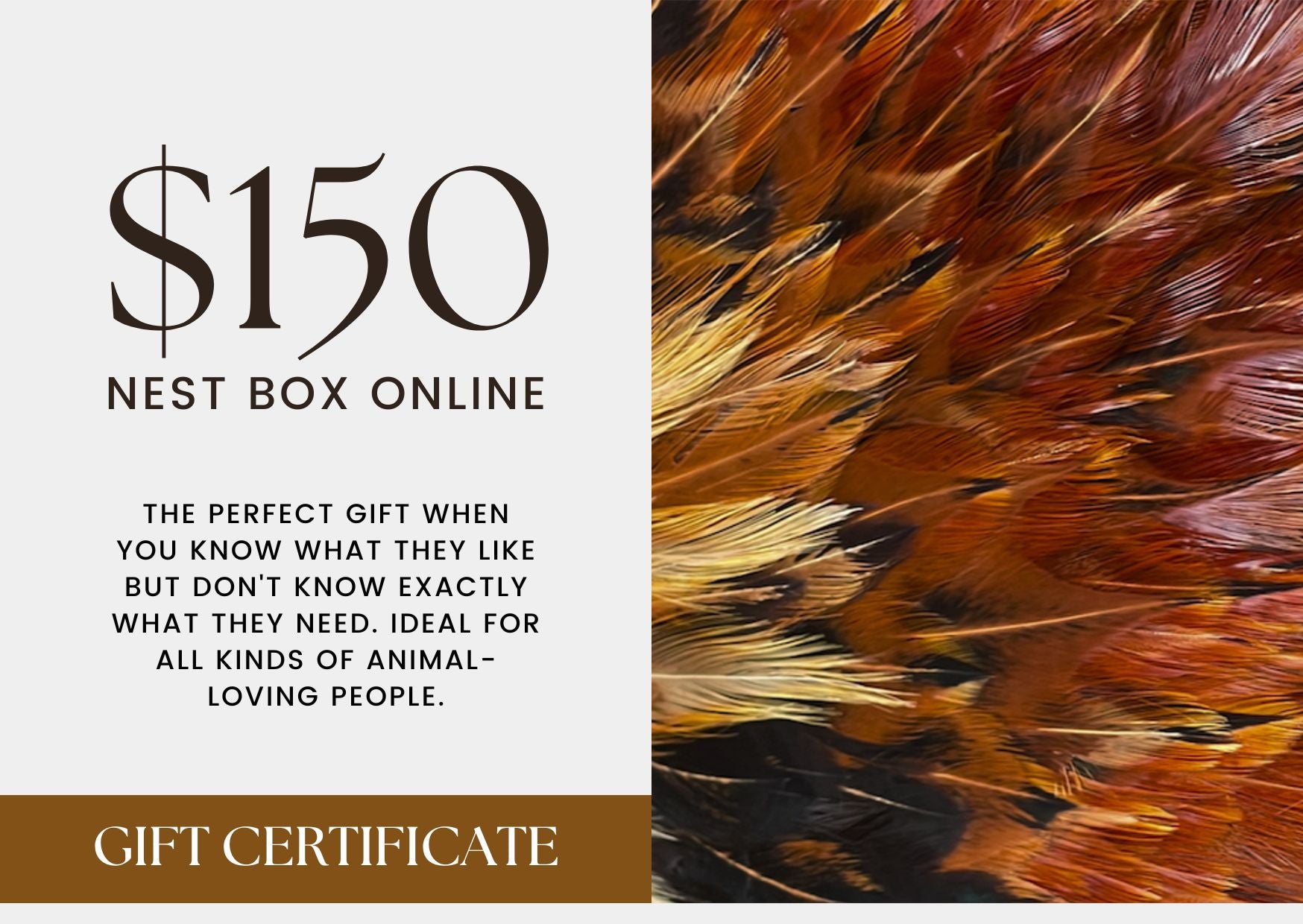 Nest Box Online Gift Card