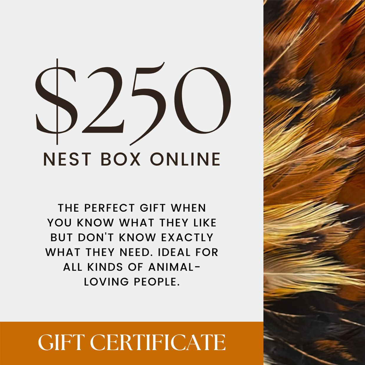 Nest Box Online Gift Card